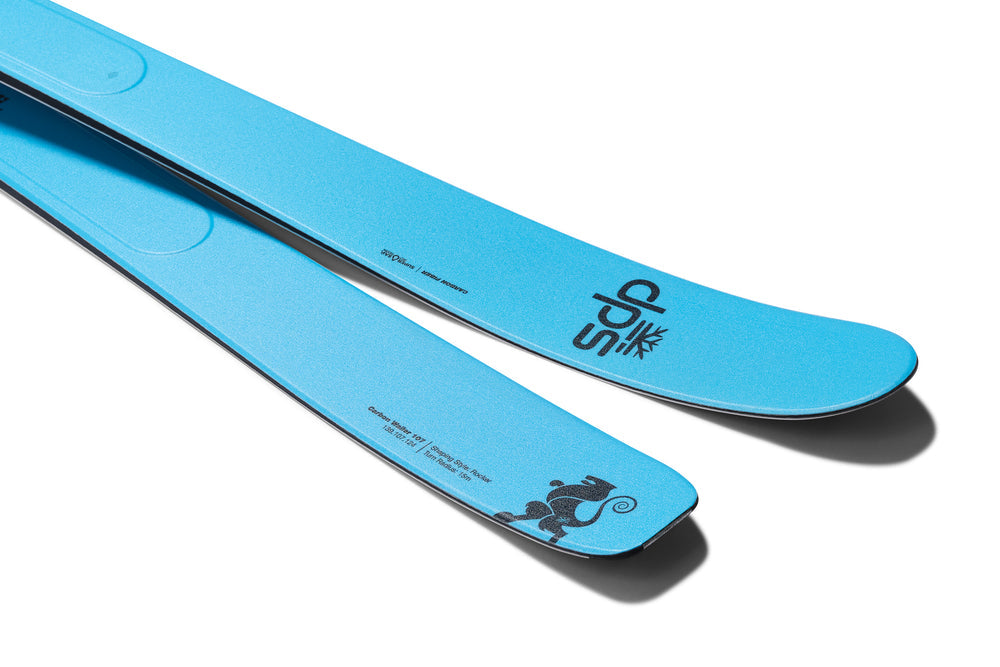 DPS Carbon WAILER 107 Skis – Teton Wasatch Ski Co.